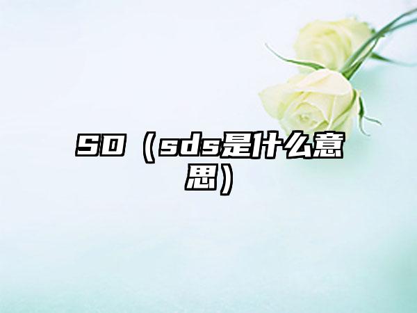 SD（sds是什么意思）