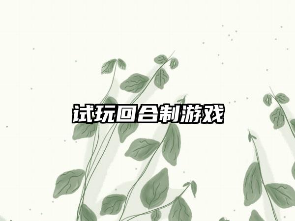 试玩回合制游戏