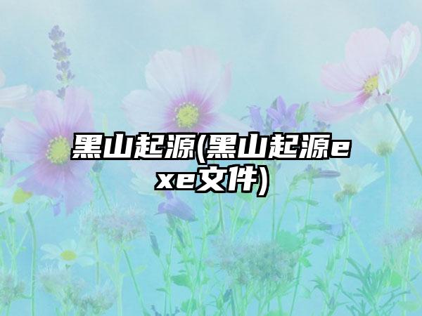 黑山起源(黑山起源exe文件)