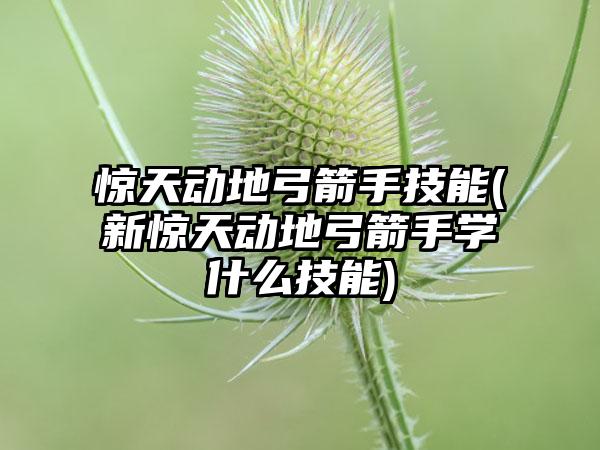 惊天动地弓箭手技能(新惊天动地弓箭手学什么技能)