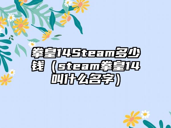 拳皇14Steam多少钱（steam拳皇14叫什么名字）