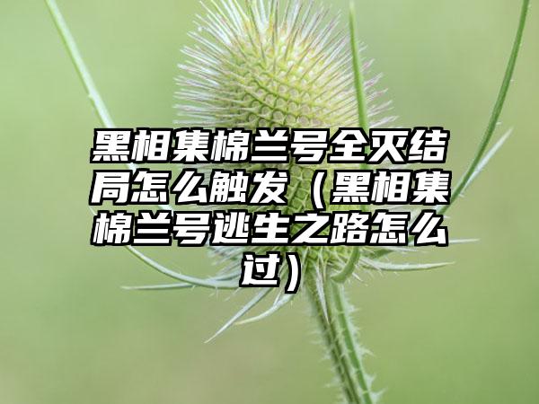 黑相集棉兰号全灭结局怎么触发（黑相集棉兰号逃生之路怎么过）