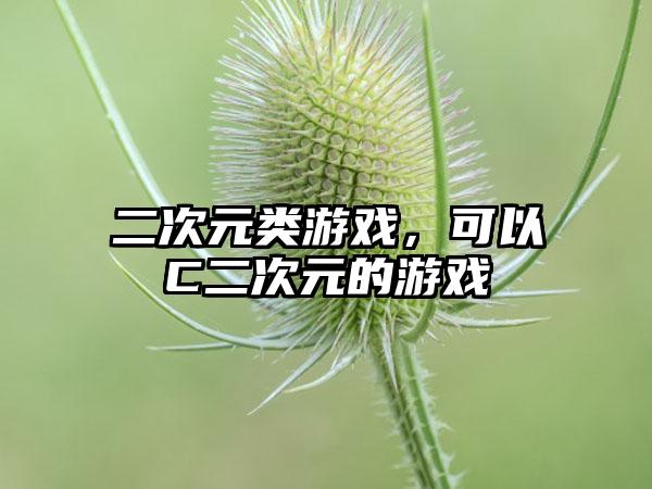 二次元类游戏，可以C二次元的游戏