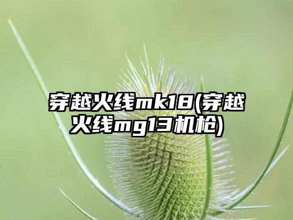穿越火线mk18(穿越火线mg13机枪)