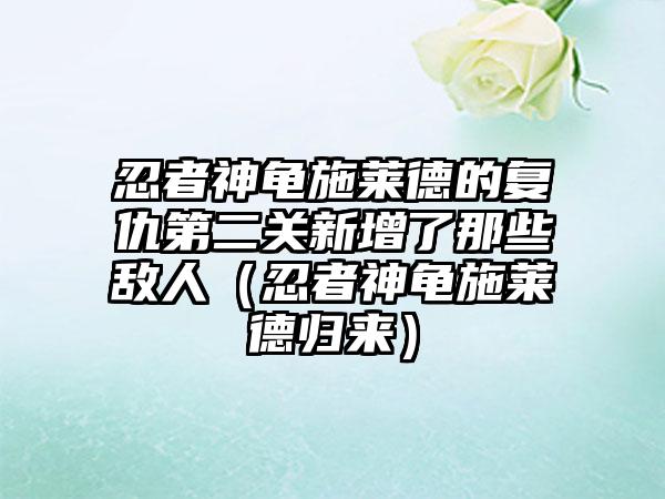 忍者神龟施莱德的复仇第二关新增了那些敌人（忍者神龟施莱德归来）