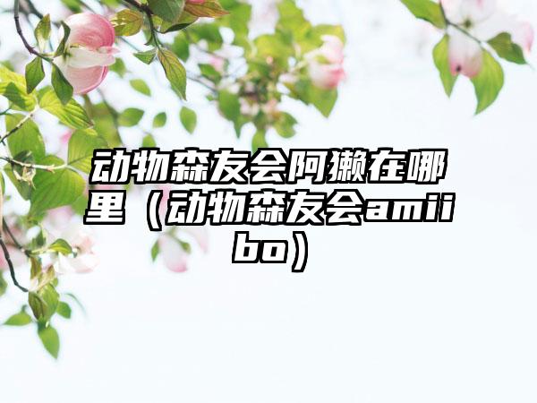 动物森友会阿獭在哪里（动物森友会amiibo）