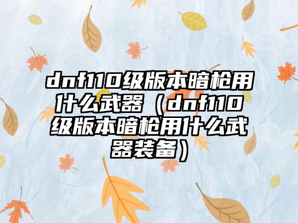 dnf110级版本暗枪用什么武器（dnf110级版本暗枪用什么武器装备）