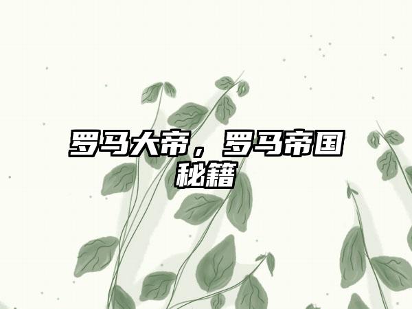 罗马大帝，罗马帝国秘籍