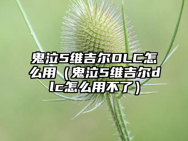 鬼泣5维吉尔DLC怎么用（鬼泣5维吉尔dlc怎么用不了）