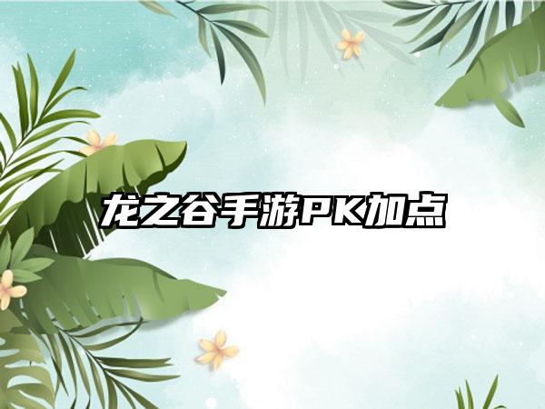 龙之谷手游PK加点