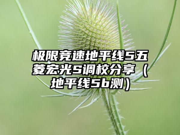 极限竞速地平线5五菱宏光S调校分享（地平线5b测）