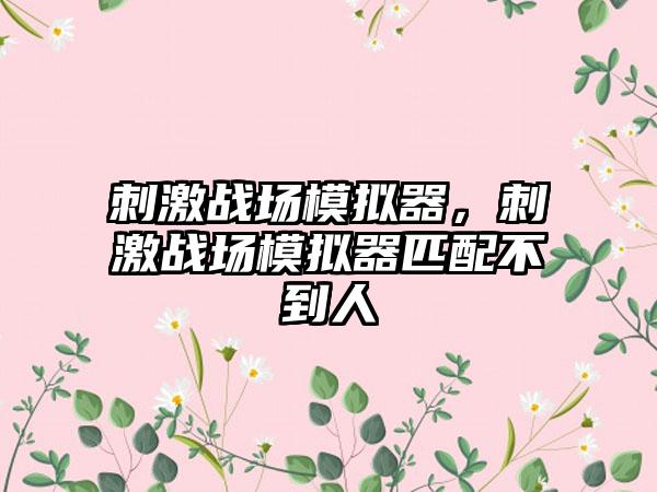 刺激战场模拟器，刺激战场模拟器匹配不到人
