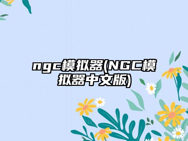 ngc模拟器(NGC模拟器中文版)
