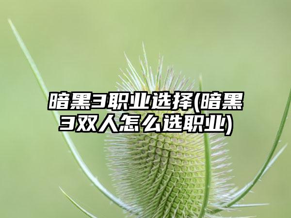 暗黑3职业选择(暗黑3双人怎么选职业)