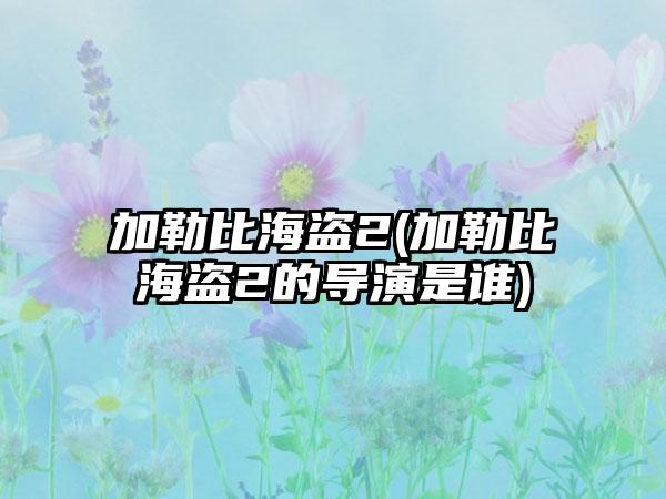 加勒比海盗2(加勒比海盗2的导演是谁)