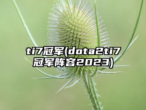 ti7冠军(dota2ti7冠军阵容2023)
