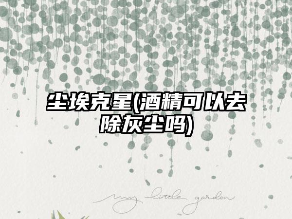 尘埃克星(酒精可以去除灰尘吗)