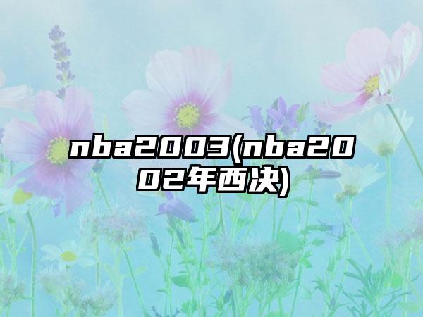 nba2003(nba2002年西决)