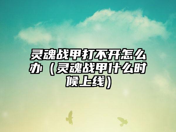 灵魂战甲打不开怎么办（灵魂战甲什么时候上线）