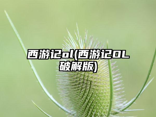 西游记ol(西游记OL破解版)