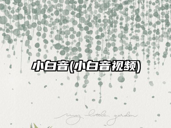 小白音(小白音视频)