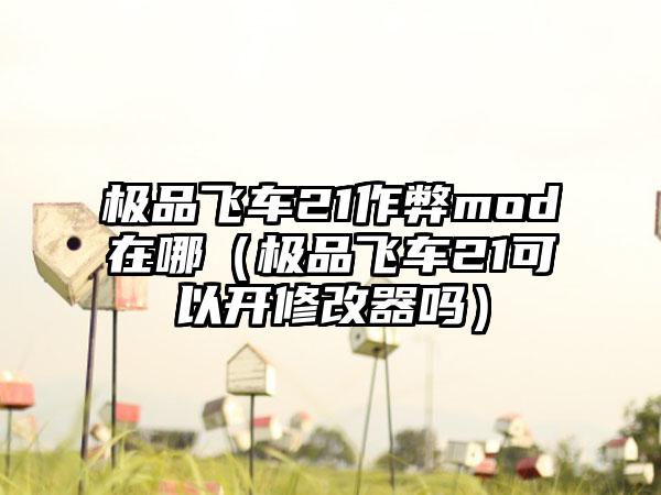 极品飞车21作弊mod在哪（极品飞车21可以开修改器吗）