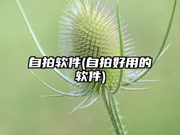 自拍软件(自拍好用的软件)