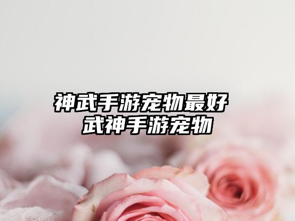 神武手游宠物最好 武神手游宠物