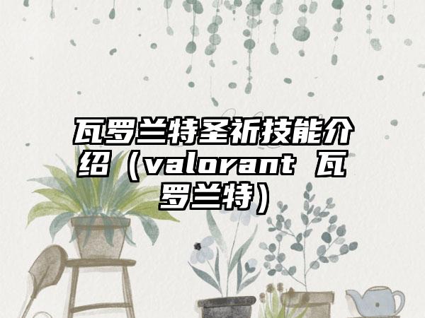 瓦罗兰特圣祈技能介绍（valorant 瓦罗兰特）