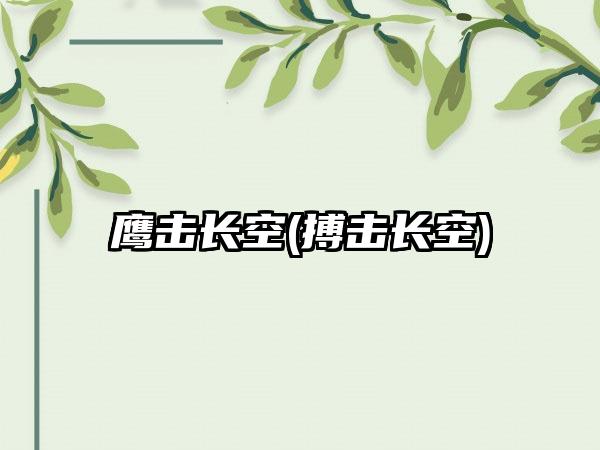 鹰击长空(搏击长空)