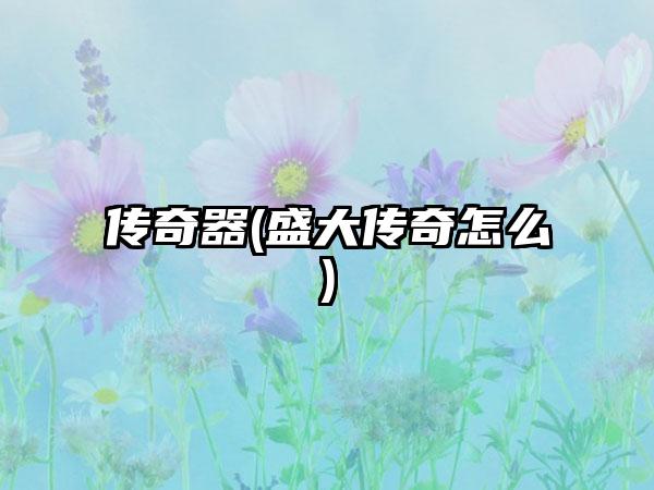 传奇器(盛大传奇怎么)