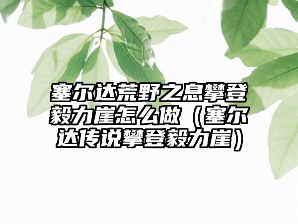 塞尔达荒野之息攀登毅力崖怎么做（塞尔达传说攀登毅力崖）