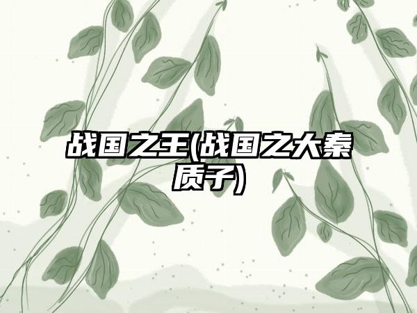 战国之王(战国之大秦质子)