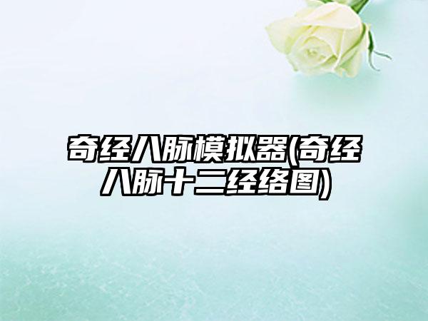 奇经八脉模拟器(奇经八脉十二经络图)