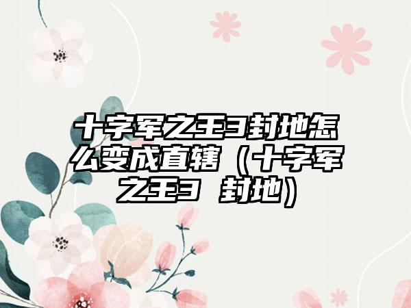 十字军之王3封地怎么变成直辖（十字军之王3 封地）