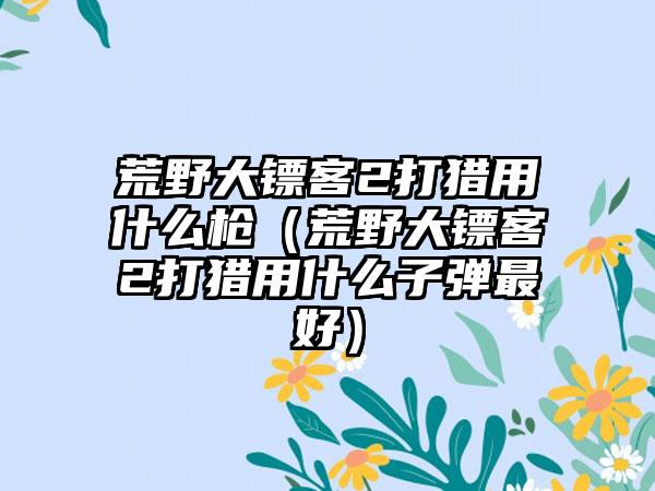 荒野大镖客2打猎用什么枪（荒野大镖客2打猎用什么子弹最好）