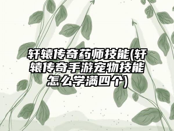 轩辕传奇药师技能(轩辕传奇手游宠物技能怎么学满四个)