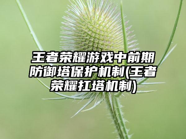 王者荣耀游戏中前期防御塔保护机制(王者荣耀扛塔机制)