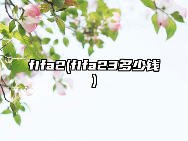 fifa2(fifa23多少钱)