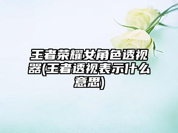 王者荣耀女角色透视器(王者透视表示什么意思)