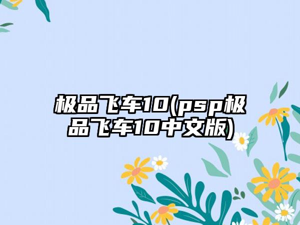 极品飞车10(psp极品飞车10中文版)