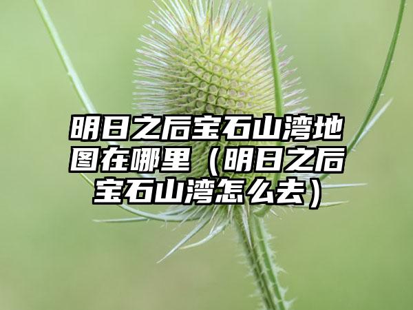 明日之后宝石山湾地图在哪里（明日之后宝石山湾怎么去）