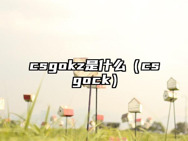 csgokz是什么（csgock）