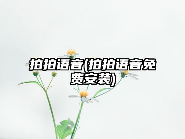 拍拍语音(拍拍语音免费安装)