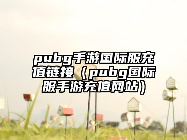 pubg手游国际服充值链接（pubg国际服手游充值网站）
