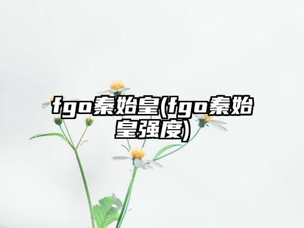 fgo秦始皇(fgo秦始皇强度)