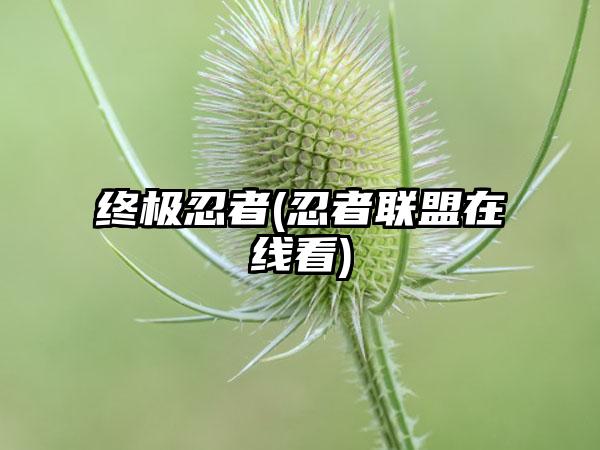 终极忍者(忍者联盟在线看)