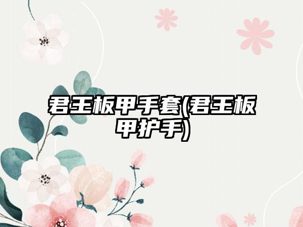 君王板甲手套(君王板甲护手)