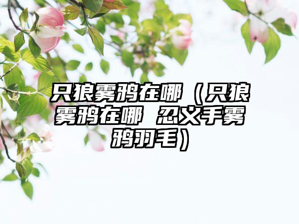 只狼雾鸦在哪（只狼雾鸦在哪 忍义手雾鸦羽毛）