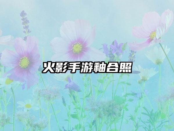 火影手游釉合照